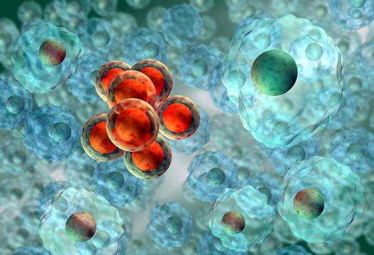 “干細胞及轉(zhuǎn)化研究”試點專項2018年度項目咨詢指南