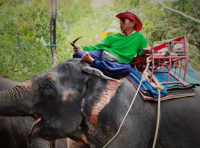 蘇州科技項目咨詢公司，科技項目，創(chuàng)新創(chuàng)業(yè)扶持政策，http://www.liguojing.com/，智為銘略，科技項目咨詢，科技項目咨詢公司，蘇州智為銘略企業(yè)管理有限公司