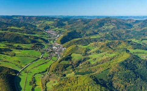 申報(bào)高新技術(shù)企業(yè)，高企申報(bào)，如何申報(bào)高新企業(yè)