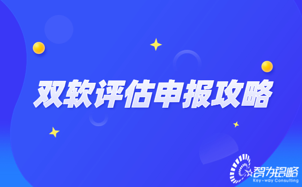 雙軟評(píng)估申報(bào)攻略
