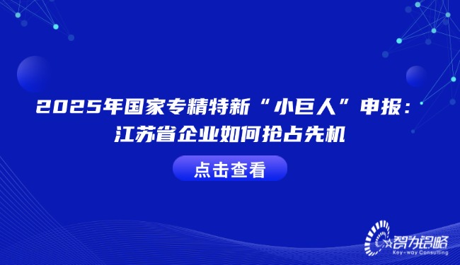 2025年國(guó)家專精特新“小巨人”申報(bào)：江蘇省企業(yè)如何搶占先機(jī).jpg