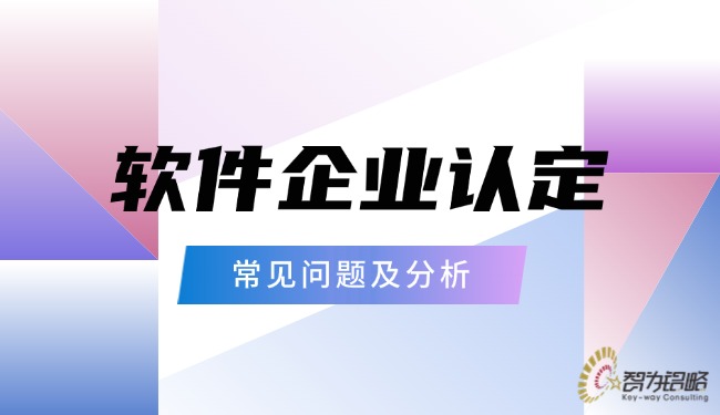 軟件企業(yè)認(rèn)定的常見(jiàn)問(wèn)題及分析.jpg
