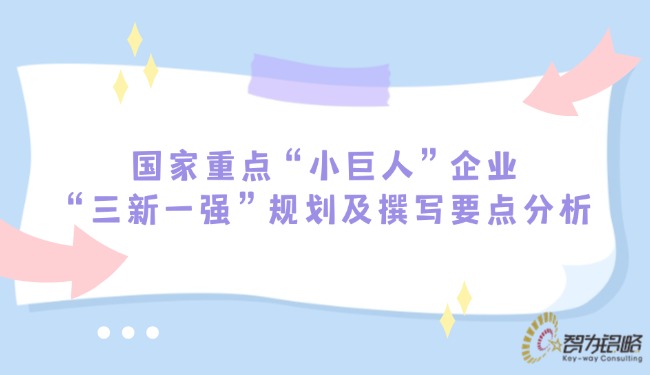 1746670998202862.jpg 國家重點“小巨人”企業(yè)“三新一強”規(guī)劃及撰寫要點分析.jpg