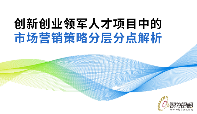 1747704753157280.png 創(chuàng)新創(chuàng)業(yè)領(lǐng)軍人才項目中的市場營銷策略分層分點(diǎn)解析.png