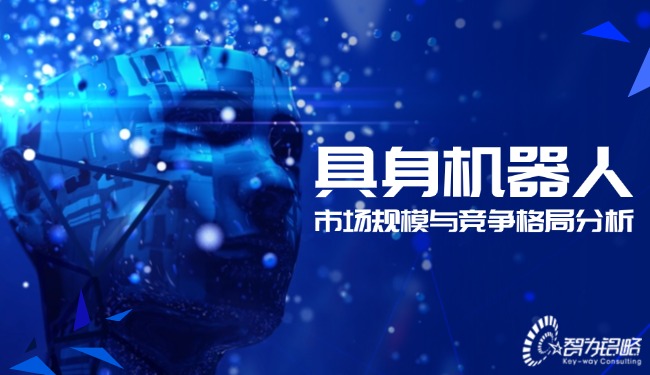 具身機器人的市場規(guī)模與競爭格局分析