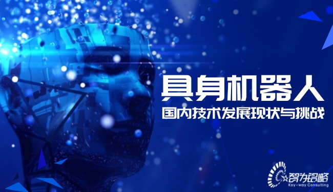 具身機器人國內(nèi)技術發(fā)展現(xiàn)狀與挑戰(zhàn)