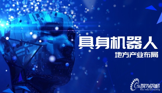 具身機器人地方產(chǎn)業(yè)布局