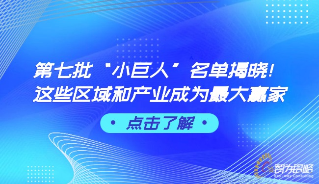 *七批“小巨人”名單揭曉！這些區(qū)域和產(chǎn)業(yè)成為*大贏家.jpg
