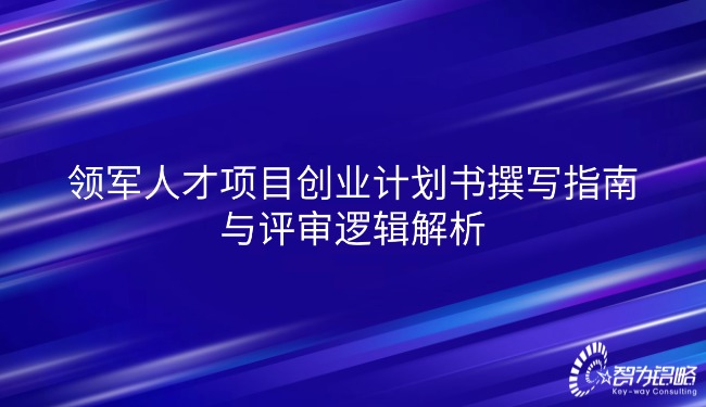 領(lǐng)軍人才項(xiàng)目創(chuàng)業(yè)計(jì)劃書撰寫指南與評審邏輯解析.jpg