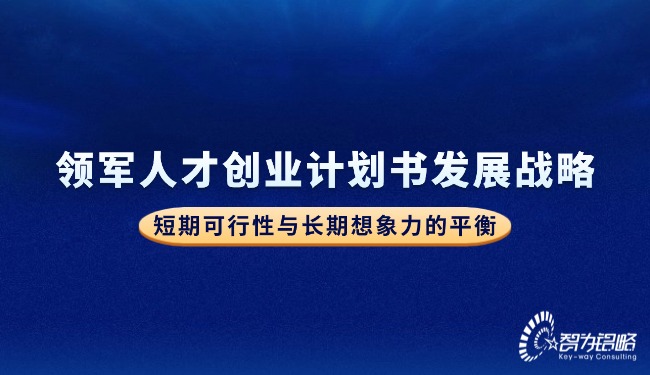 領軍人才創(chuàng)業(yè)計劃書發(fā)展戰(zhàn)略—短期可行性與長期想象力的平衡.jpg