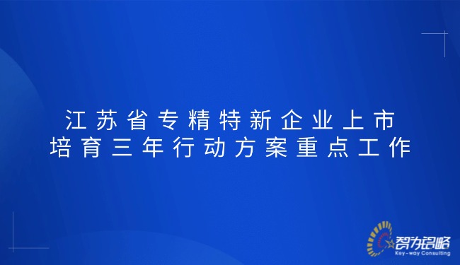 江蘇省專精特新企業(yè)上市培育三年行動(dòng)方案重點(diǎn)工作.jpg